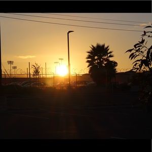 Meet your Posher, Sydney